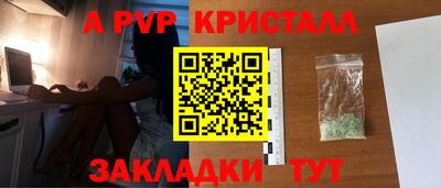 шишки Вышний Волочёк