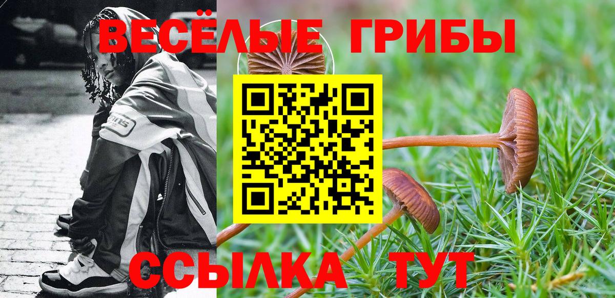 сколько стоит  Вход с VPN  Владикавказ  Галлюциногенные грибы Magic Shrooms 